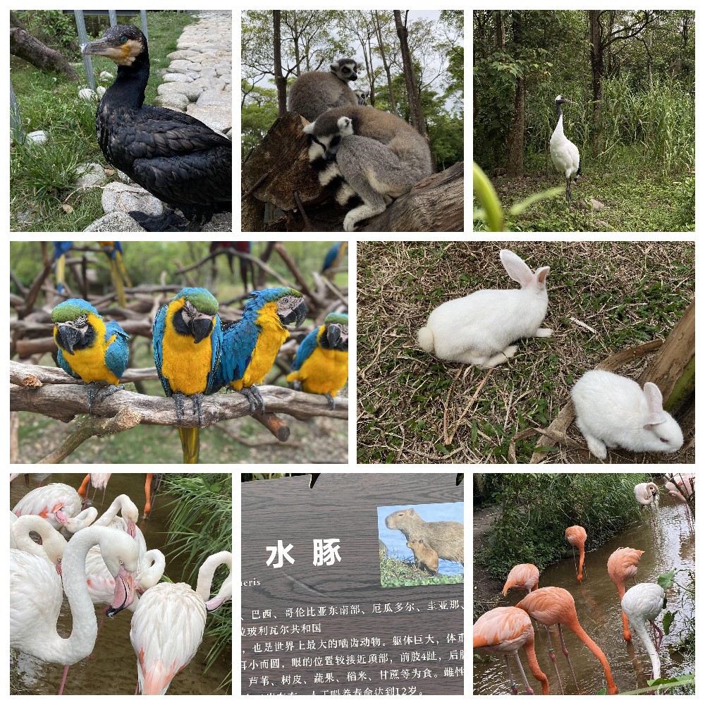 厚積薄發(fā)，蓄力前行：大手牽小手，共圓實(shí)佳夢(mèng)